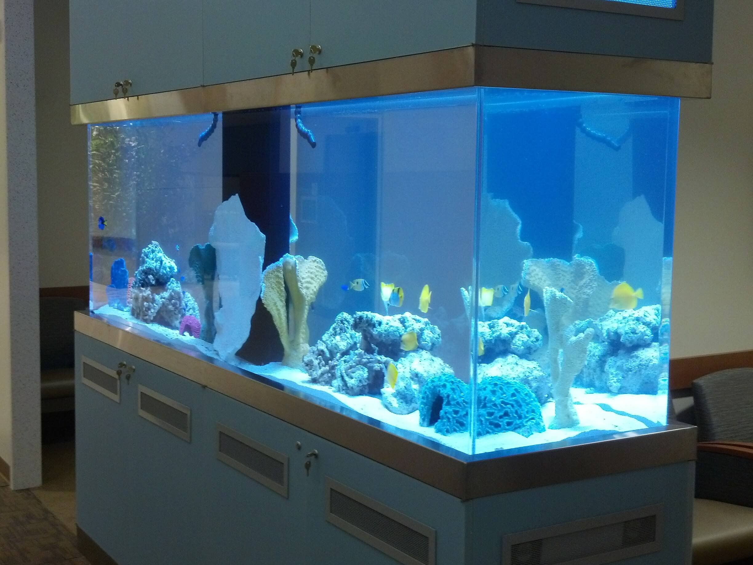 Hospital aquarium