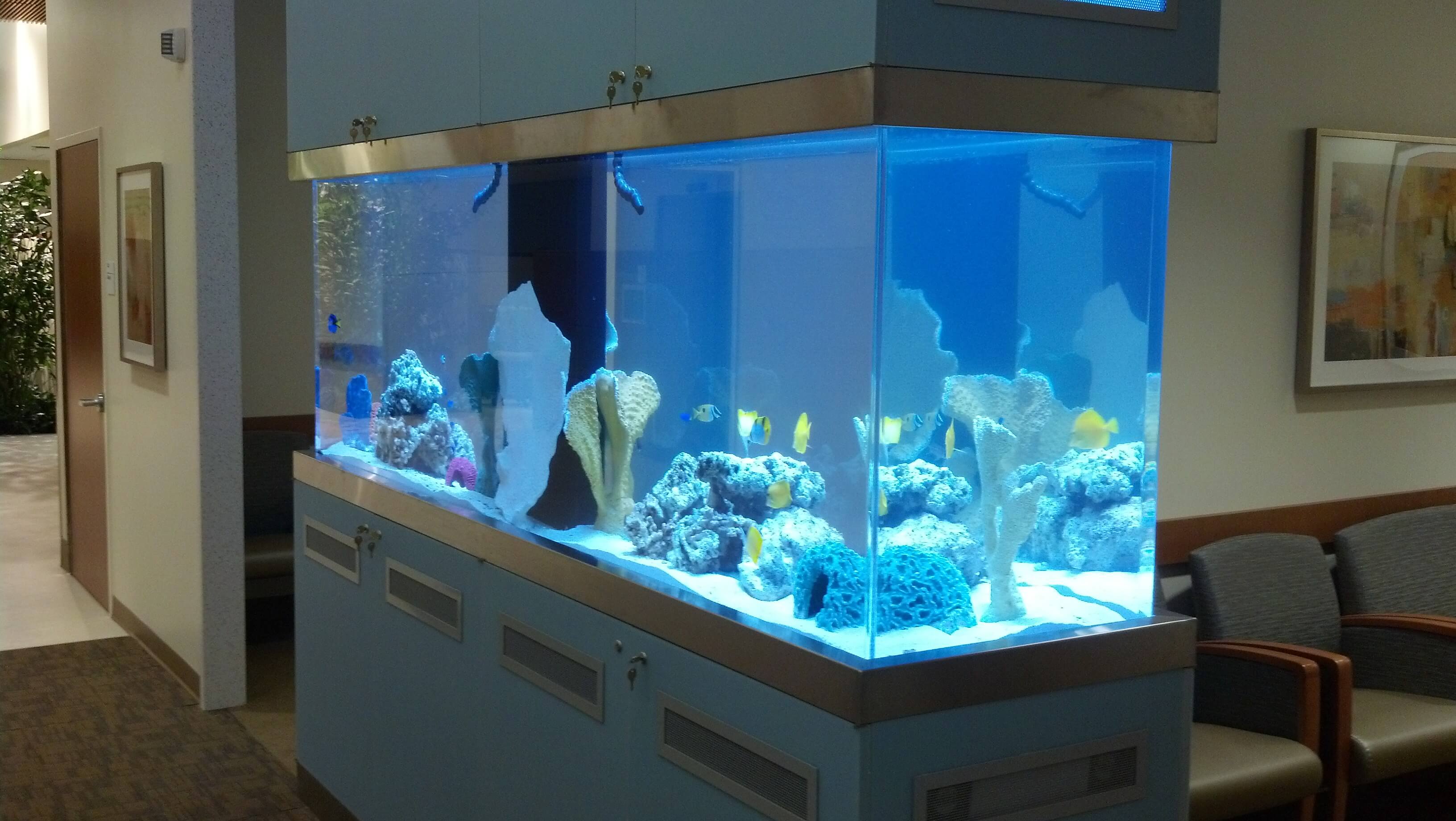 Hospital aquarium