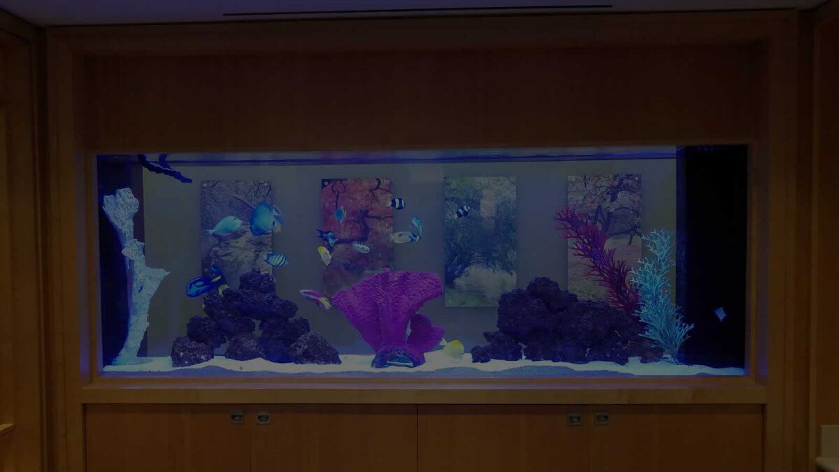 Hospital Aquariums Aquarium Network Custom Aquariums