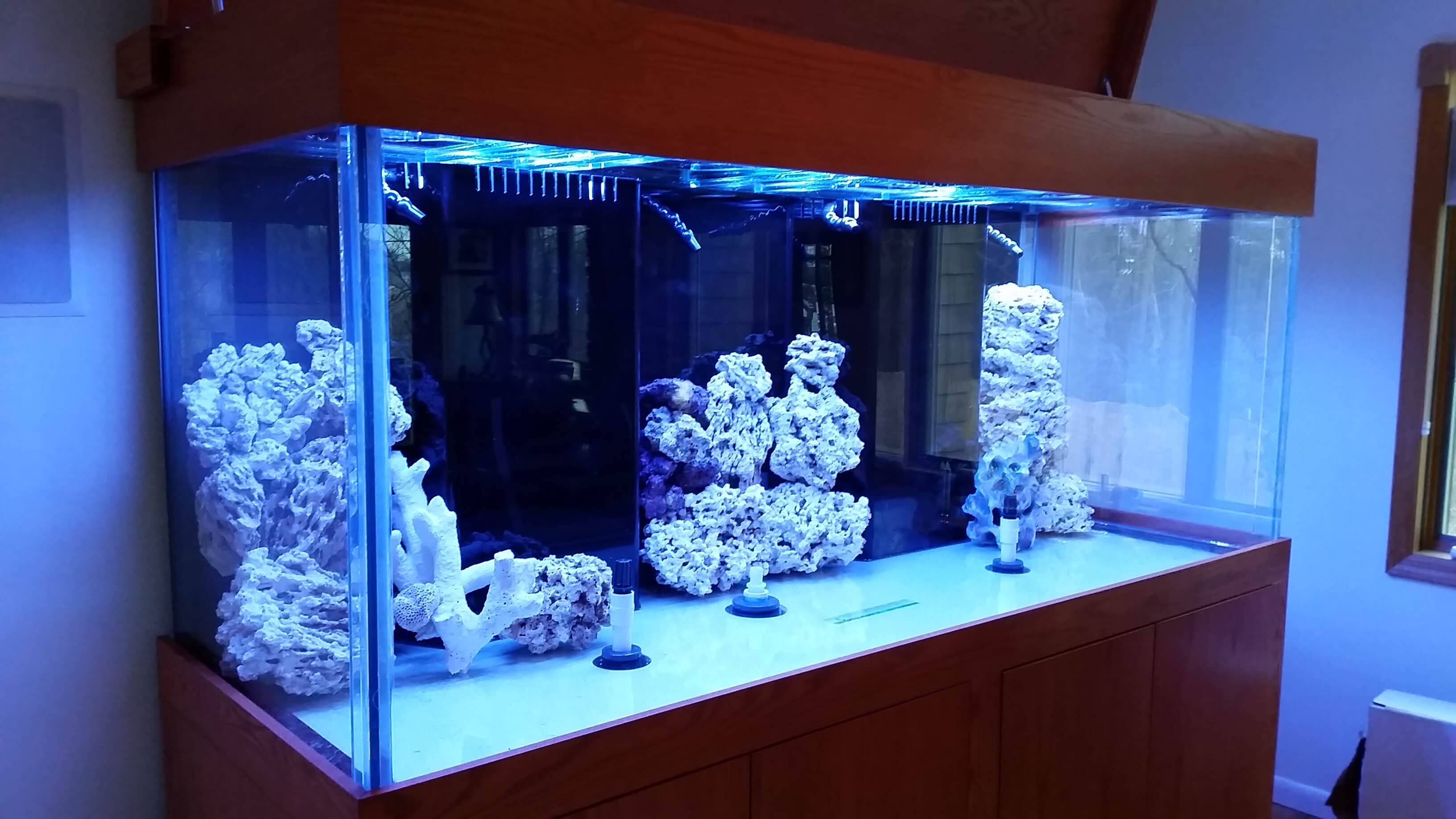 450 Gallon glass aquarium
