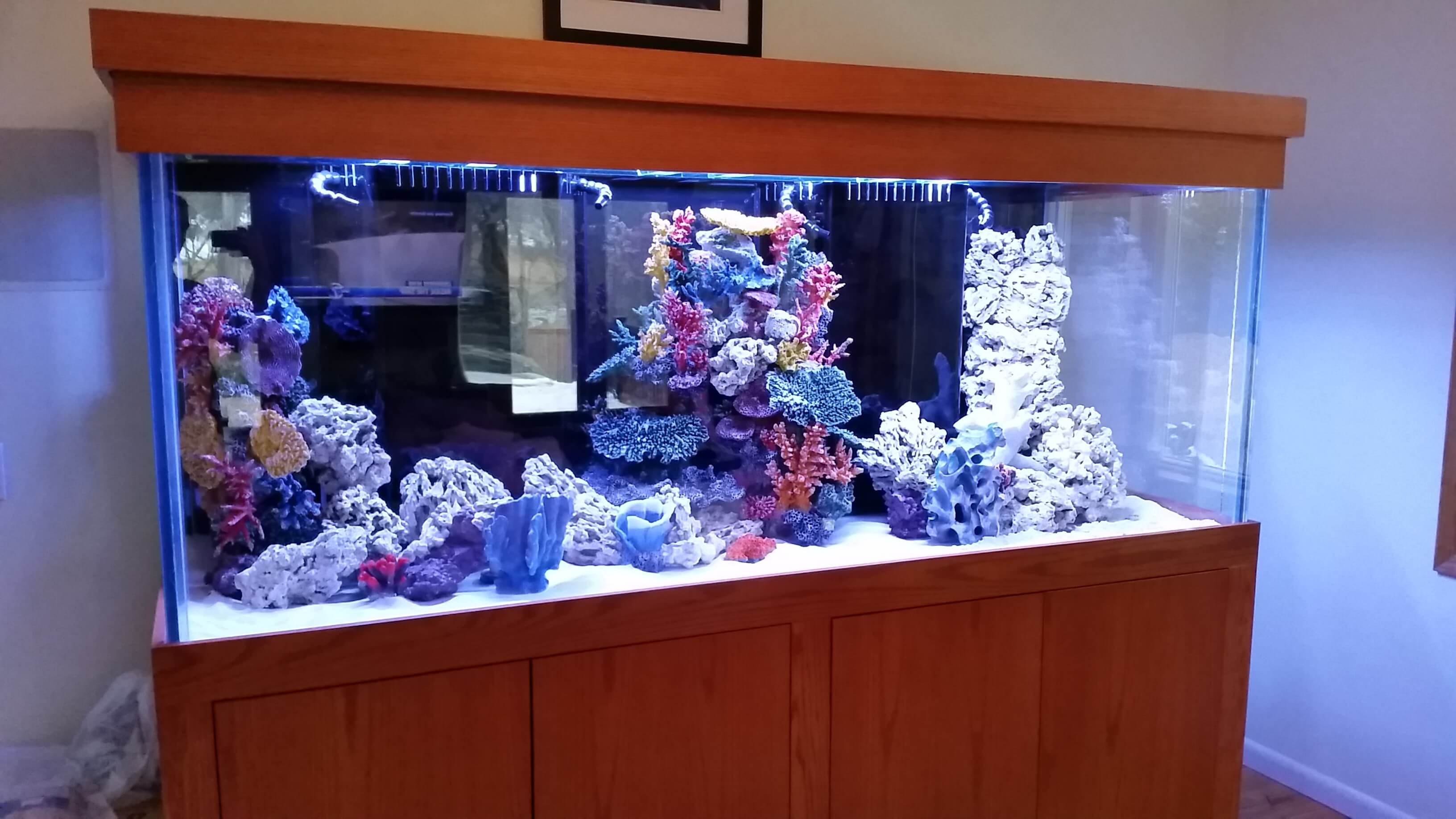 450 gallon aquarium