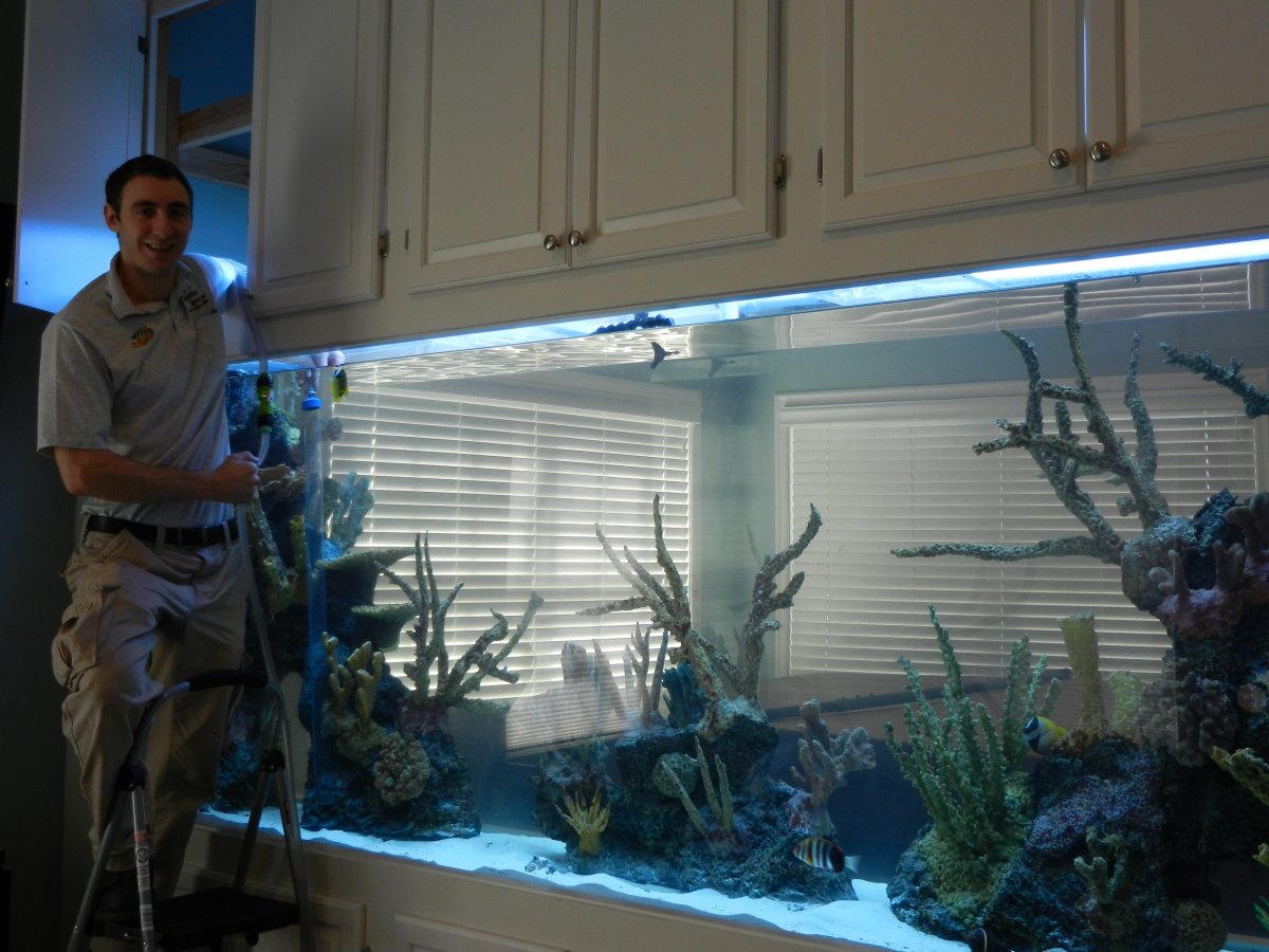 600 Gallon Room Divider Aquarium Network Custom Aquariums