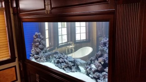 bathroom aquarium
