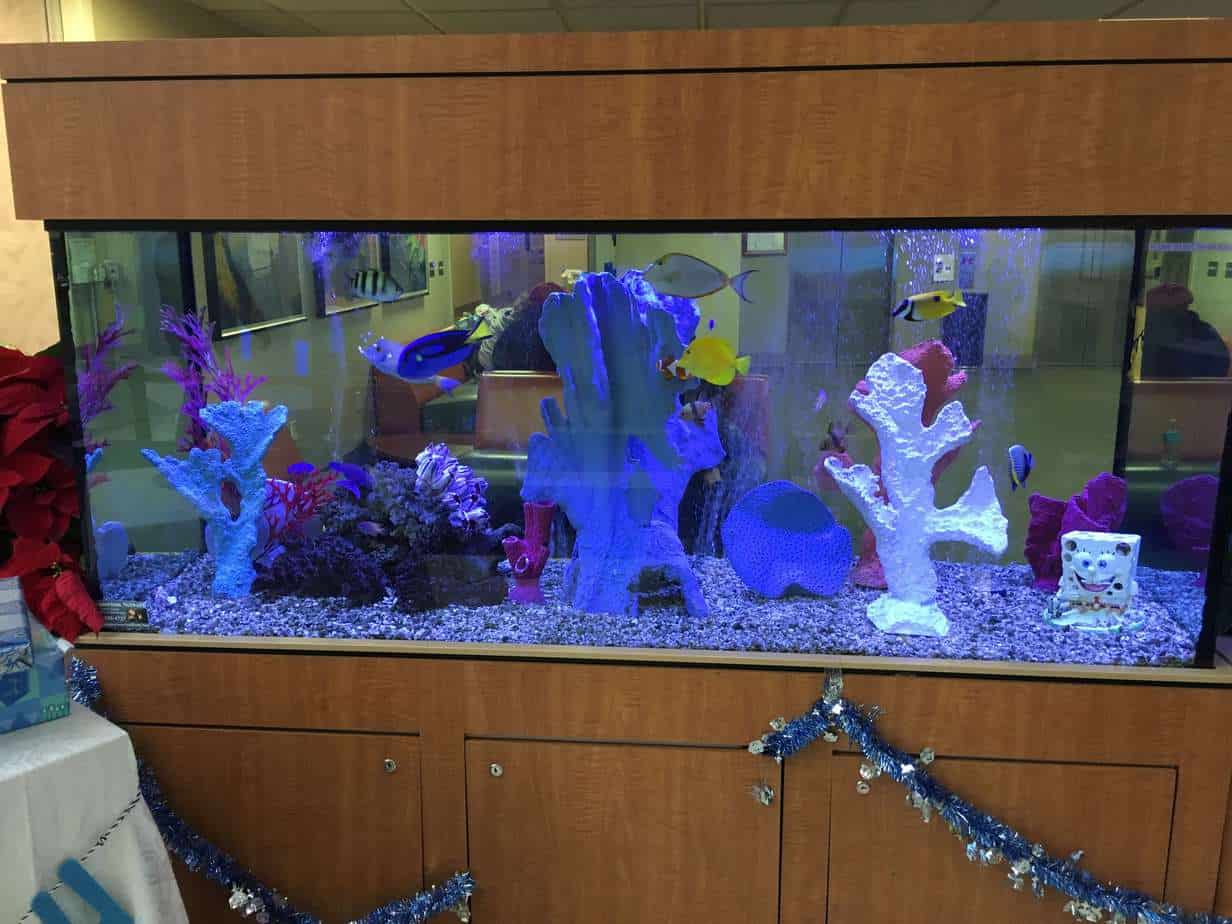 Hospital Lobby Aquarium