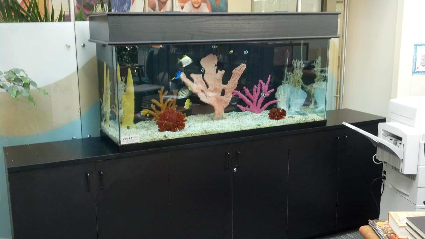 Hospital library aquarium
