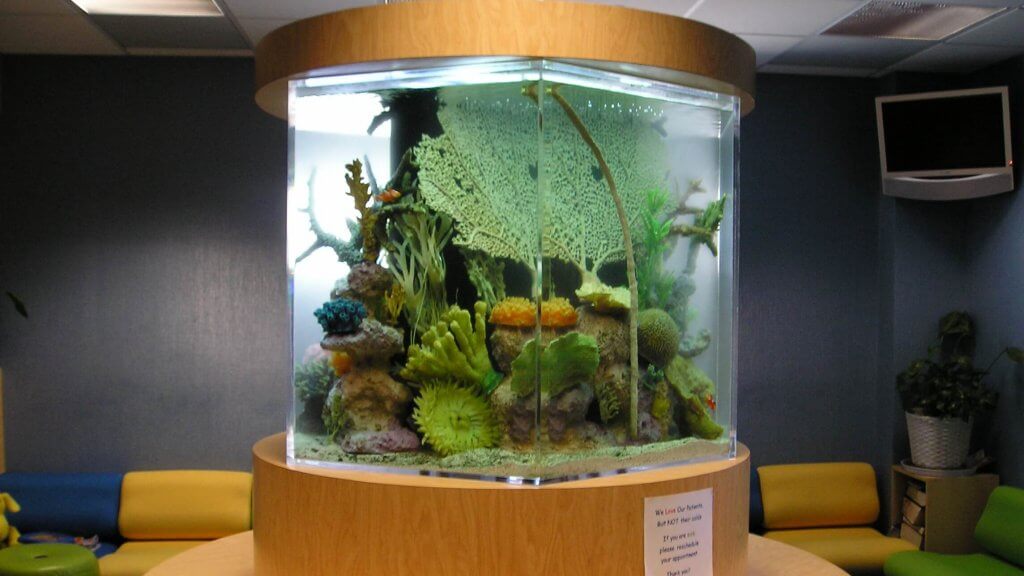 Hexagon Aquarium