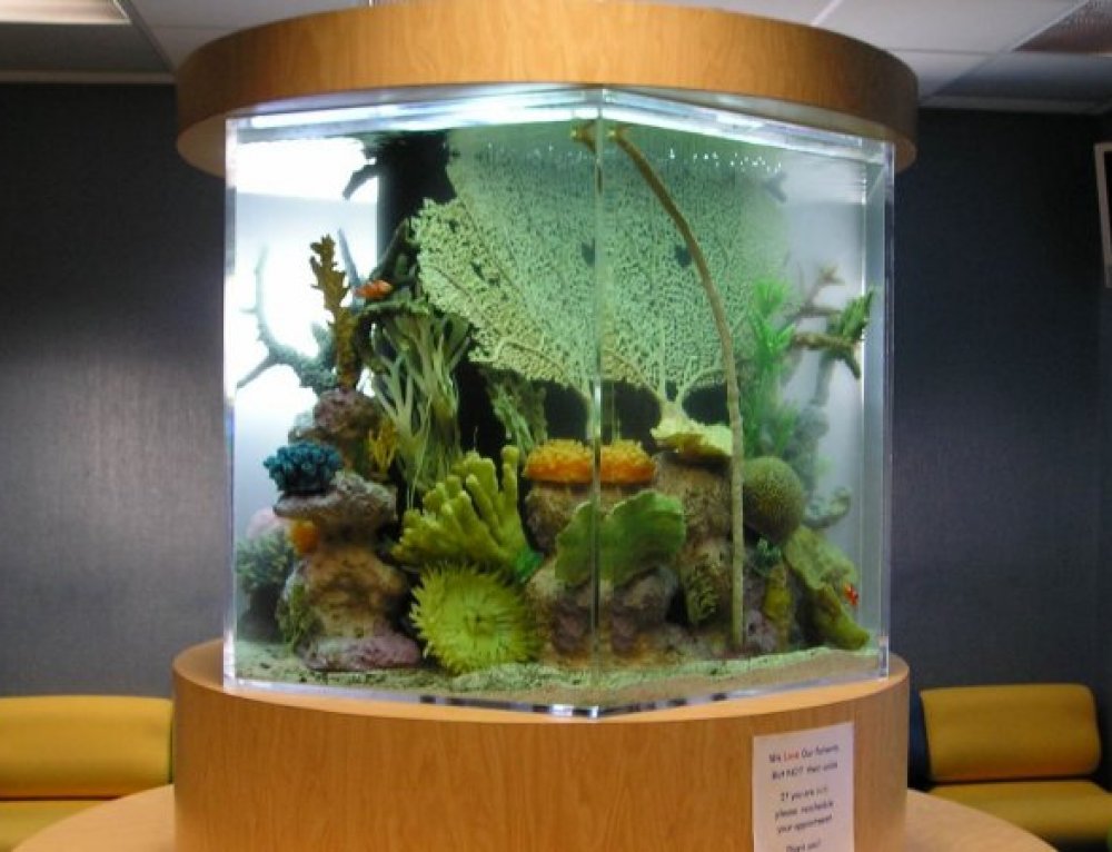 Children’s Hospital Aquarium with Custom hidden filtration Aquarium