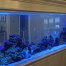 360 gallon See-Through aquarium